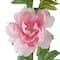 6 pi Guirlande de pivoines roses d'Ashland | Michaels